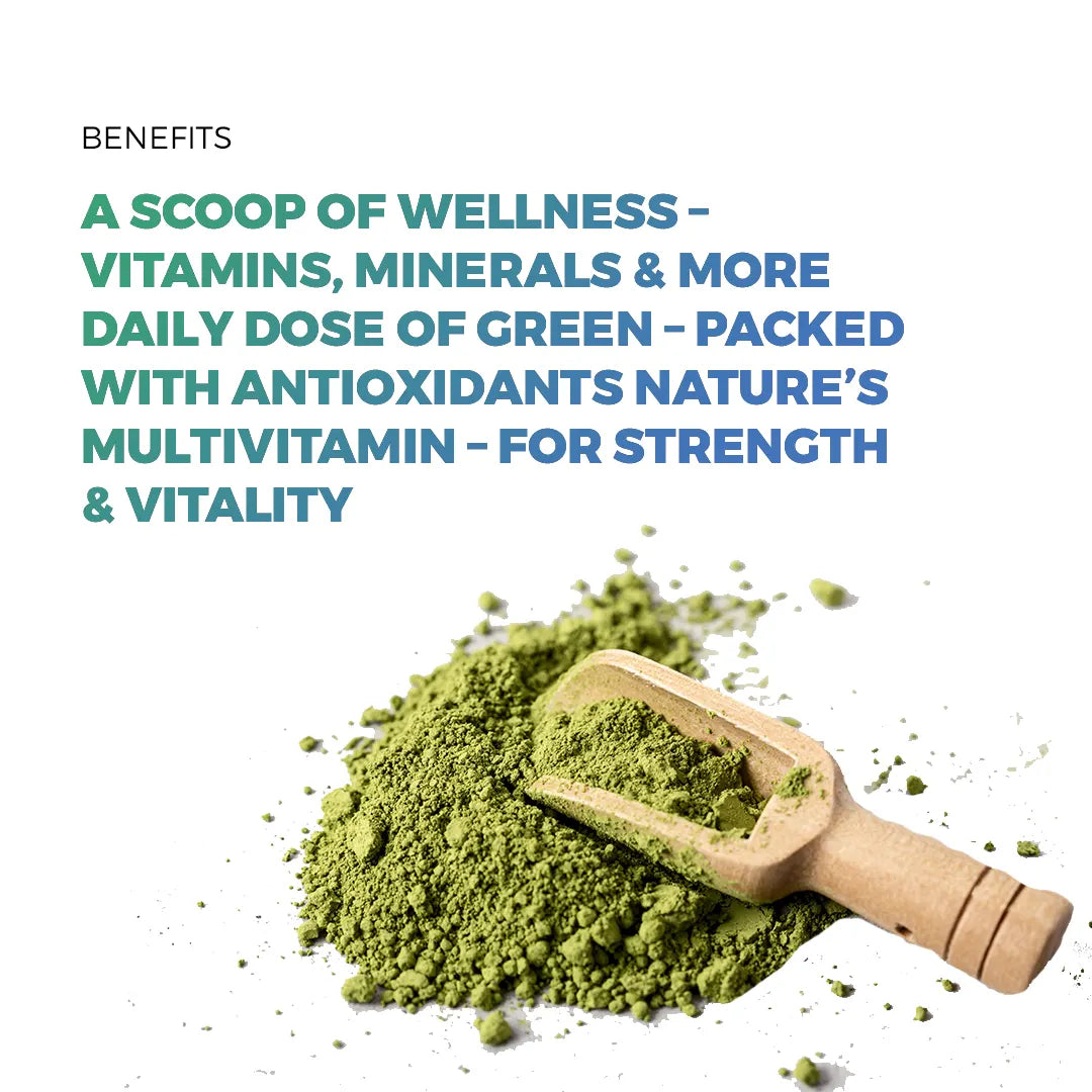 Lifyntia Herbal Moringa Leaf Powder ( Shigru Powder )